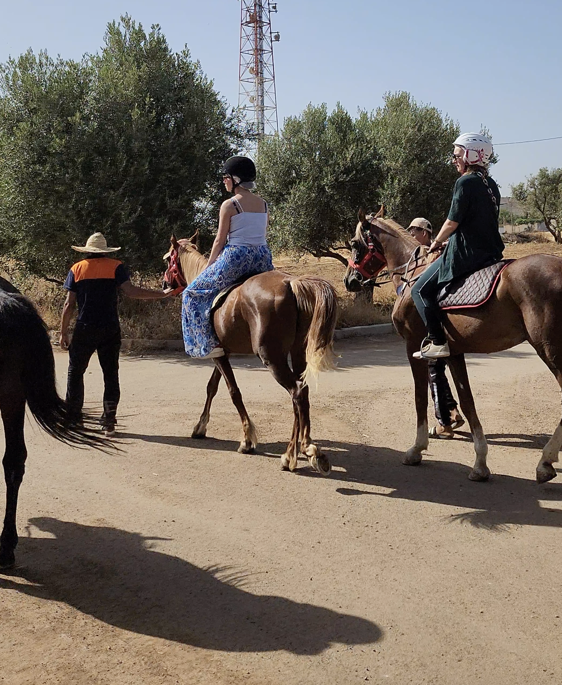 Horse riding in Fez
